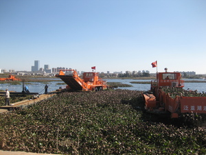水環(huán)境治理水葫蘆處置設(shè)備44