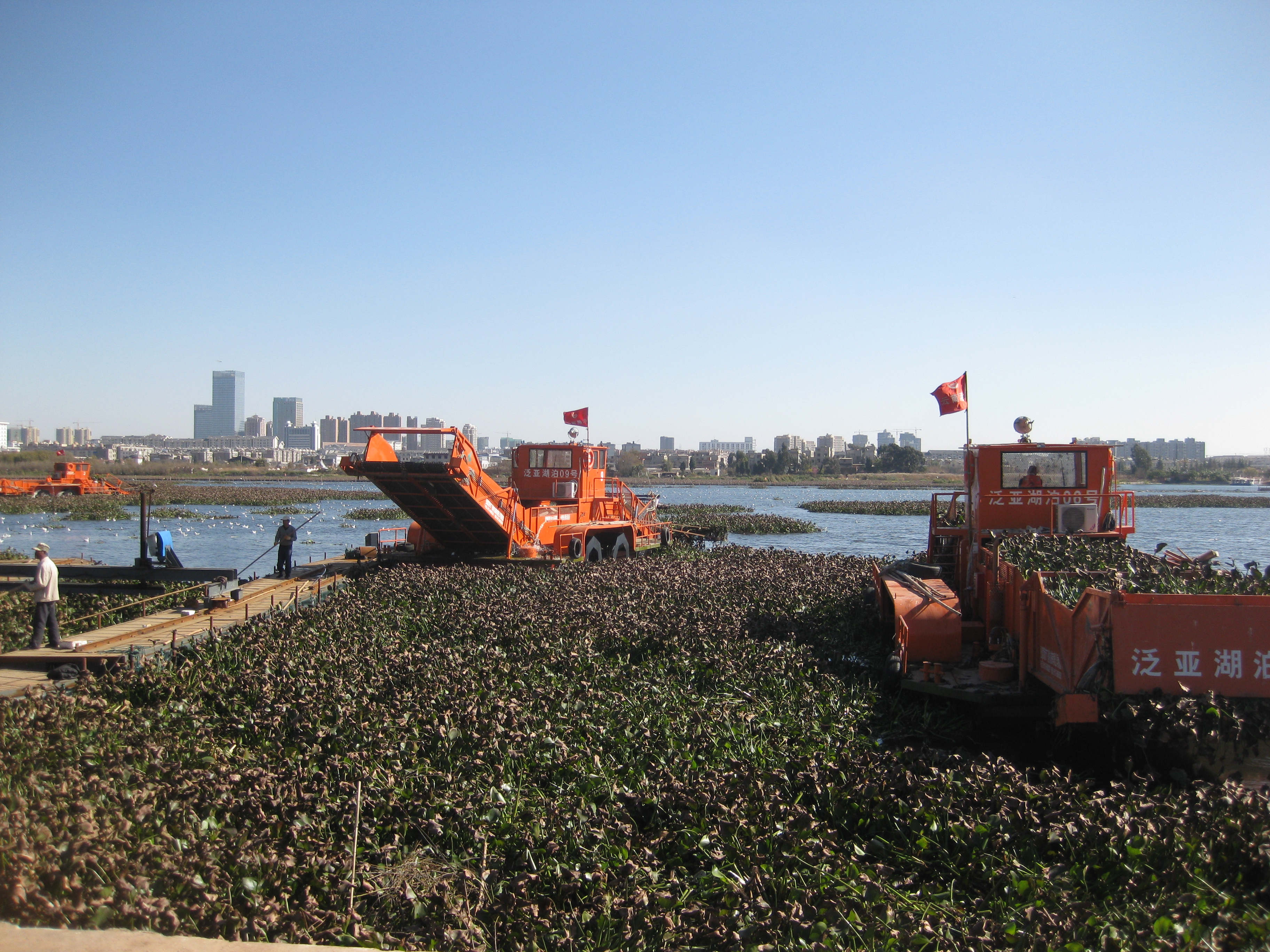 水環(huán)境治理水葫蘆處置設(shè)備44
