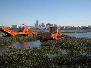 水環(huán)境治理水葫蘆處置設(shè)備48