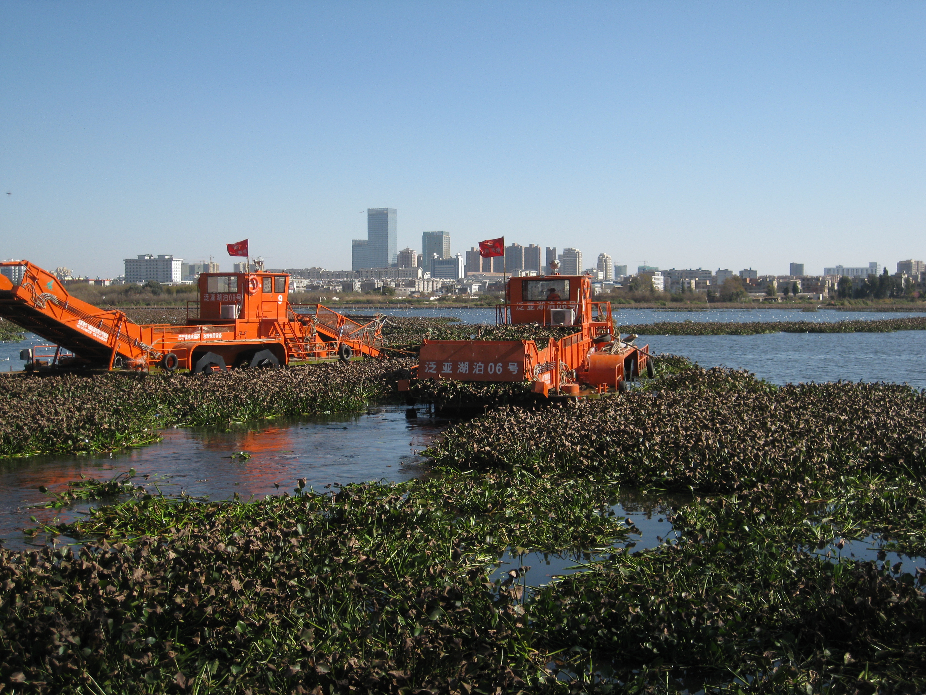 水環(huán)境治理水葫蘆處置設(shè)備48