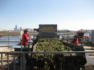 水環(huán)境治理水葫蘆處置設(shè)備52