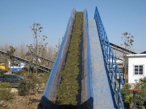 水環(huán)境治理水葫蘆處置設(shè)備54
