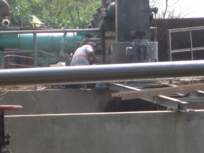 水环境治理水葫芦处置设备1